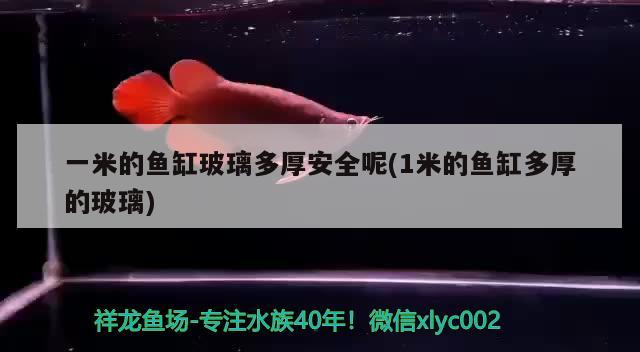龍魚怕什么 一米的魚缸玻璃多厚安全呢(1米的魚缸多厚的玻璃) 可麗愛魚缸 一米的魚缸玻璃多厚安全呢(1米的魚缸多厚的玻璃) 一米的魚缸玻璃多厚安全呢(1米的魚缸多厚的玻璃) 可麗愛魚缸