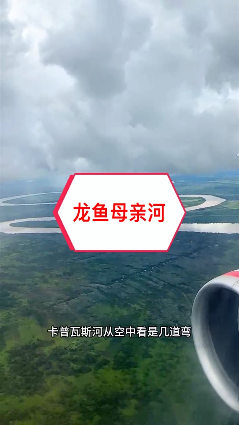 紅龍魚(yú)的“母親河” ～卡普瓦斯 落地印尼前從空中看下去有點(diǎn)我們的“山路十八彎”的感覺(jué)～ 讓我們一起開(kāi)啟紅龍魚(yú)原產(chǎn)地的探索之旅??#萬(wàn)隆天王紅龍 #大湖魚(yú) #龍魚(yú)