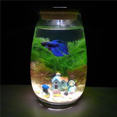 diy魚缸制作設計圖案：diy魚缸制作圖案