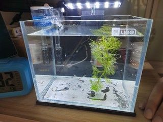 yee牌魚缸質量怎么樣？：yee牌魚缸市場評價、材質和工藝、設計和功能以及性價比 yee牌魚缸質量怎么樣？：yee牌魚缸市場評價、材質和工藝、設計和功能以及性價比 yee 第4張