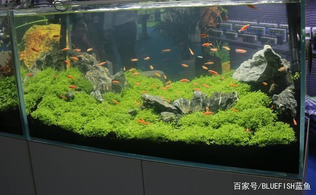 伊罕加熱棒e系列校準(伊罕加熱棒怎么校準) 伊罕加熱棒e系列校準(伊罕加熱棒怎么校準) 伊罕水族