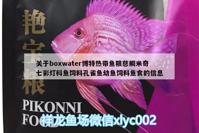關于boxwater博特熱帶魚糧慈鯛米奇七彩燈科魚飼料孔雀魚幼魚飼料魚食的信息 關于boxwater博特熱帶魚糧慈鯛米奇七彩燈科魚飼料孔雀魚幼魚飼料魚食的信息 博特水族