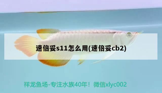 魚缸用增氧泵價(jià)格是多少:魚缸增氧機(jī)-xtrac增氧機(jī)-xtrac增氧機(jī) 速倍妥s11怎么用(速倍妥cb2) 速倍妥 速倍妥s11怎么用(速倍妥cb2) 速倍妥s11怎么用(速倍妥cb2) 速倍妥