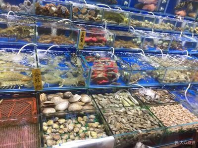 水族館推薦一個好地方三百字以上：上海海洋水族館 水族館推薦一個好地方三百字以上：上海海洋水族館 水族館百科（水族館加盟） 第4張