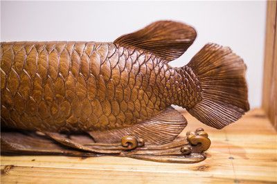 金龍魚需要驅蟲嗎怎么驅vs祥龍魚場:祥龍魚場口碑評價,觀賞魚驅蟲方法對比,金龍魚養殖環境要求 vs祥龍魚場 第5張 金龍魚需要驅蟲嗎怎么驅vs祥龍魚場:祥龍魚場口碑評價,觀賞魚驅蟲方法對比,金龍魚養殖環境要求 金龍魚需要驅蟲嗎怎么驅vs祥龍魚場:祥龍魚場口碑評價,觀賞魚驅蟲方法對比,金龍魚養殖環境要求 vs祥龍魚場 第5張