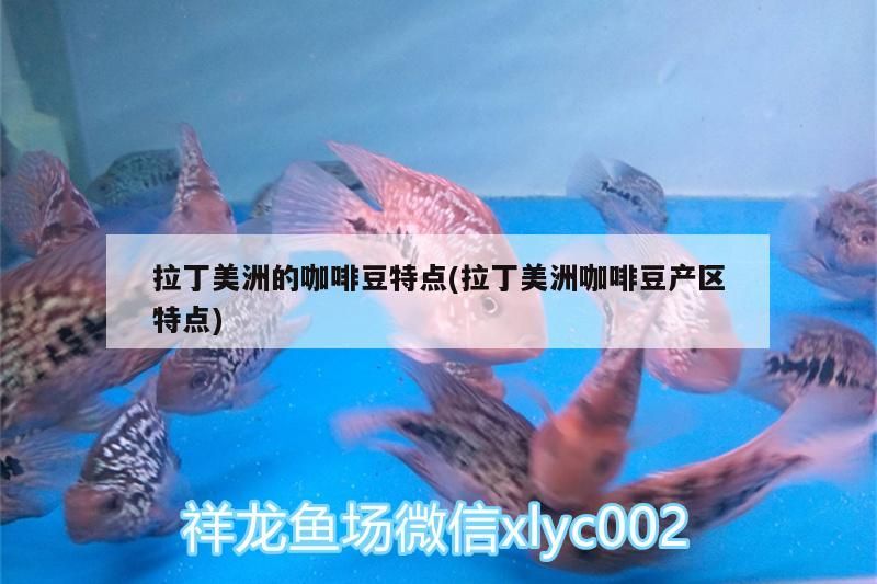 拉丁美洲的咖啡豆特點(拉丁美洲咖啡豆產區特點)