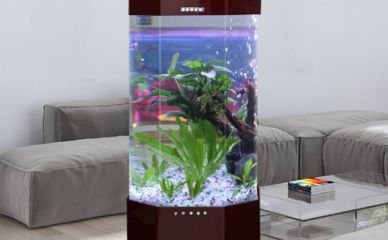 博特魚缸換水時(shí)間多久：博特魚缸換水時(shí)間多久一次博特魚缸換水時(shí)間推薦 博特魚缸換水時(shí)間多久：博特魚缸換水時(shí)間多久一次博特魚缸換水時(shí)間推薦 博特水族 第3張