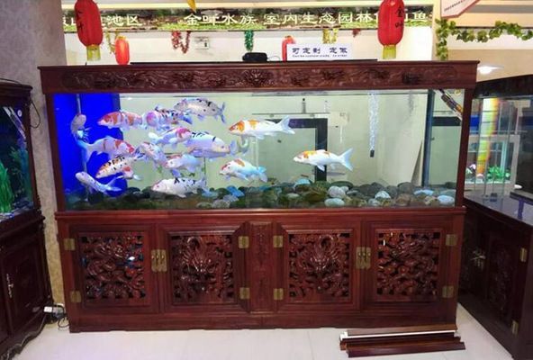 水族館加盟店有哪些：水族館加盟店怎么樣
