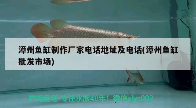 漳州魚缸制作廠家電話地址及電話(漳州魚缸批發市場)