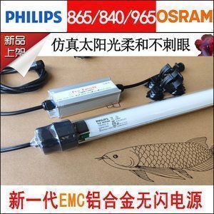龍魚吃魚糧嗎vs祥龍魚場(chǎng)：龍魚可以吃魚糧嗎