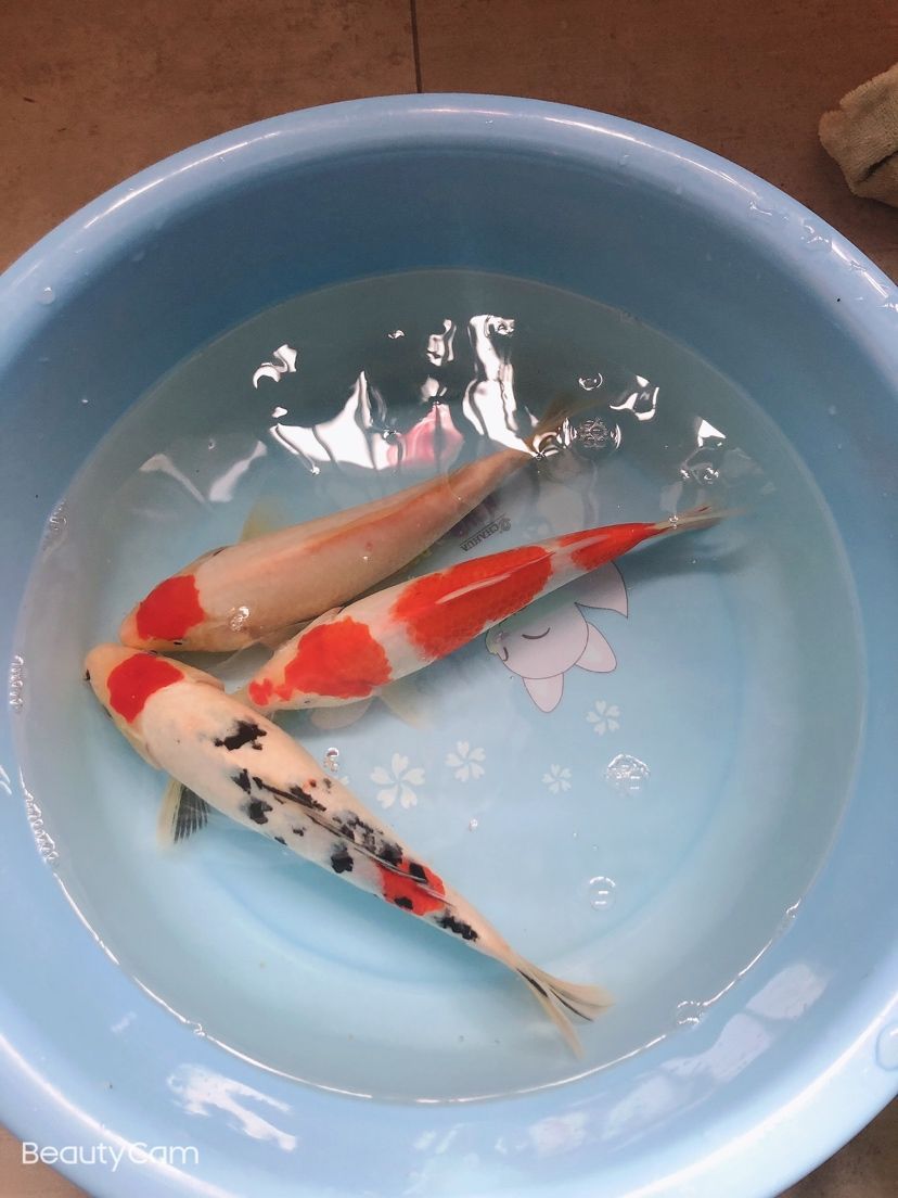 廣州市荔灣區筷又美小食店