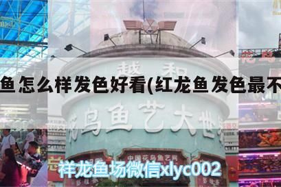 魟魚一年能繁殖幾窩 魟魚一年能繁殖幾窩 龍魚論壇 第2張