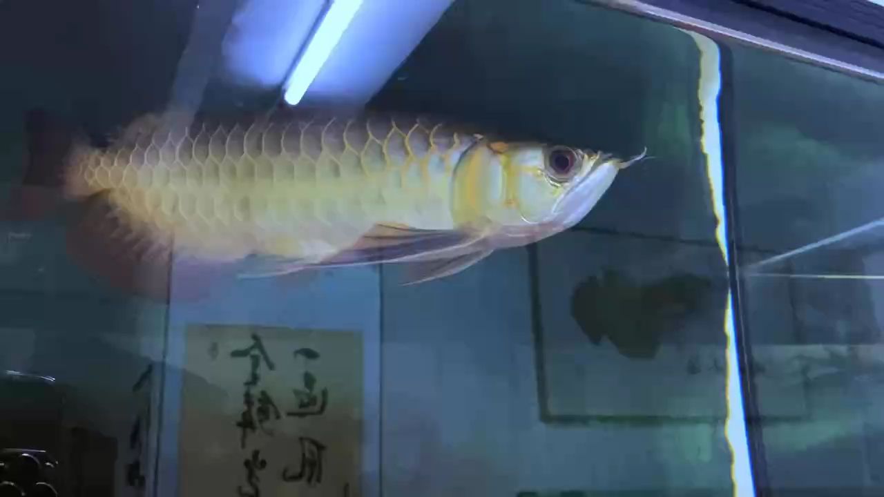 盡量讓自己同頻更新