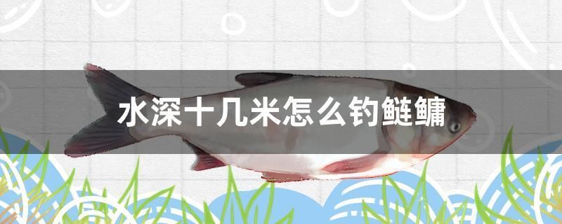 水深十幾米怎么釣鰱鳙