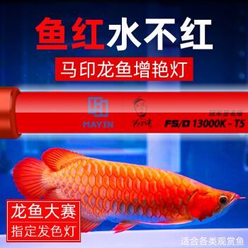 馬印水族燈是雜牌嗎還是正品的好用呢：馬印水族燈并非雜牌，而是有著一定的知名度和好評度的專業品牌