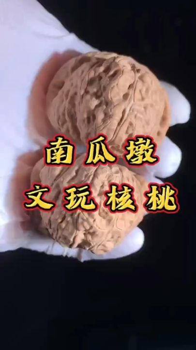 南瓜墩核桃 南瓜墩核桃 龍魚論壇