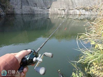 魟魚溫度多少最好釣：魟魚溫度多少最好釣魟魚溫度多少最好釣魟魚溫度多少 魟魚溫度多少最好釣：魟魚溫度多少最好釣魟魚溫度多少最好釣魟魚溫度多少 魟魚百科 第2張
