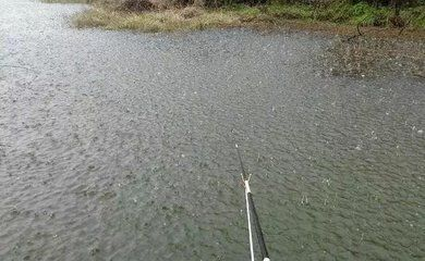 魟魚溫度多少最好釣：魟魚溫度多少最好釣魟魚溫度多少最好釣魟魚溫度多少 魟魚溫度多少最好釣：魟魚溫度多少最好釣魟魚溫度多少最好釣魟魚溫度多少 魟魚百科 第3張