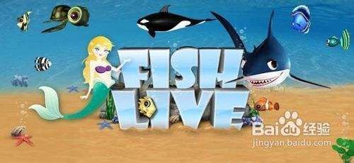 水族館游戲攻略圖鑒：《水族館游戲》攻略圖鑒