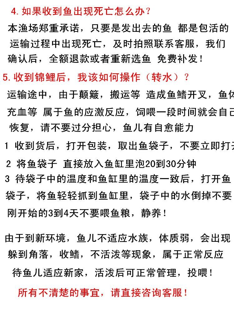 這個黃金貓多少大洋可以買一條啊？ 這個黃金貓多少大洋可以買一條啊？ 黃金貓魚百科 第1張