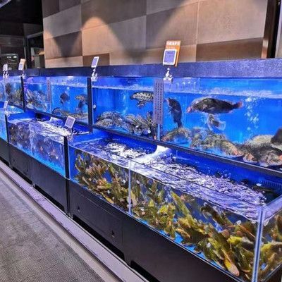 廣東水族行業觀賞魚養殖基地（中國水族行業競爭分析及未來）