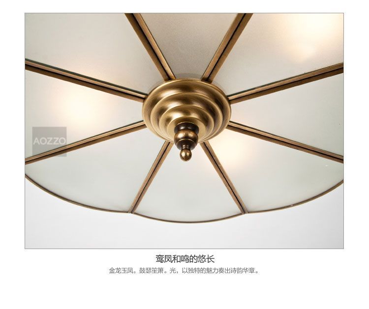 30公分金龍用什么燈：金龍魚燈光使用方法