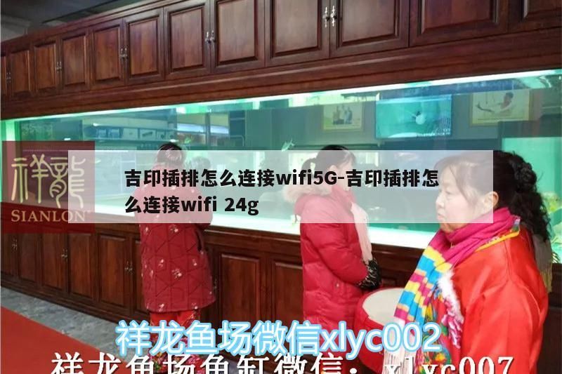 吉印插排怎么連接wifi5G:吉印插排怎么連接wifi24g 吉印插排怎么連接wifi5G:吉印插排怎么連接wifi24g 吉印水族