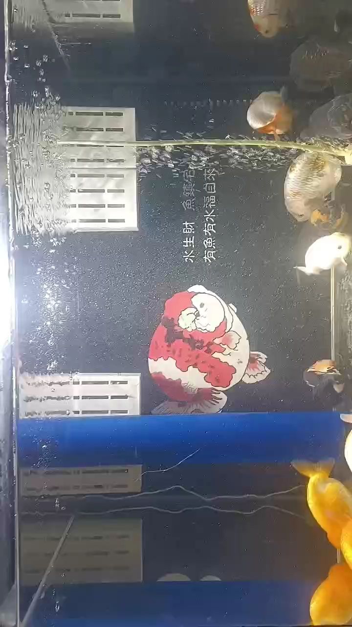 好久沒這么透亮了