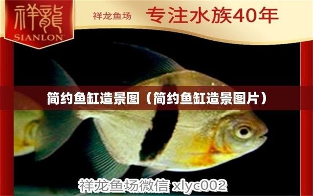 伊罕過濾桶簡(jiǎn)易版（伊罕過濾桶簡(jiǎn)易版和國(guó)際版區(qū)別）