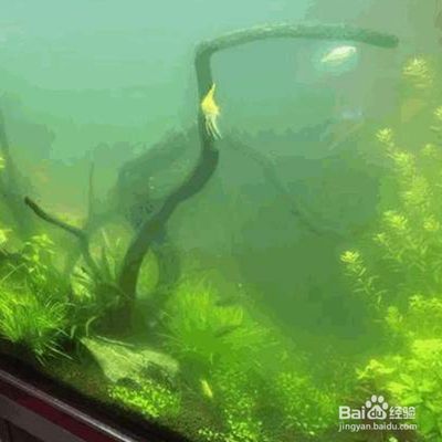 伊罕600過濾桶如何排氣（伊罕600過濾桶安裝圖解） 伊罕600過濾桶如何排氣（伊罕600過濾桶安裝圖解） 伊罕水族