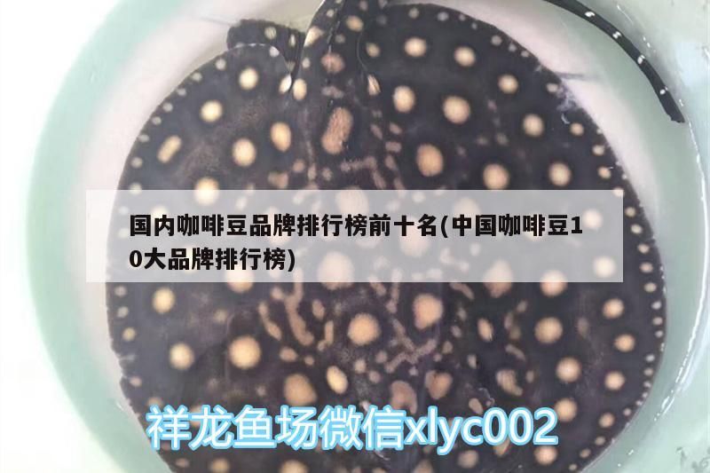 魚缸過濾器選購指南:自制魚缸過濾器魚缸上置過濾器對于養(yǎng)魚愛好者的必備知識 國內(nèi)咖啡豆品牌排行榜前十名(中國咖啡豆10大品牌排行榜) 馬來西亞咖啡 國內(nèi)咖啡豆品牌排行榜前十名(中國咖啡豆10大品牌排行榜) 國內(nèi)咖啡豆品牌排行榜前十名(中國咖啡豆10大品牌排行榜) 馬來西亞咖啡