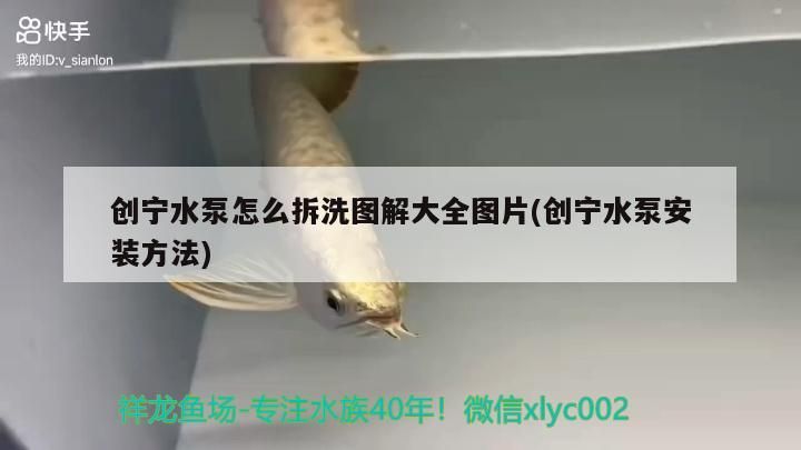 飼料 創寧水泵怎么拆洗圖解大全圖片(創寧水泵安裝方法) 創寧水族 創寧水泵怎么拆洗圖解大全圖片(創寧水泵安裝方法) 創寧水泵怎么拆洗圖解大全圖片(創寧水泵安裝方法) 創寧水族