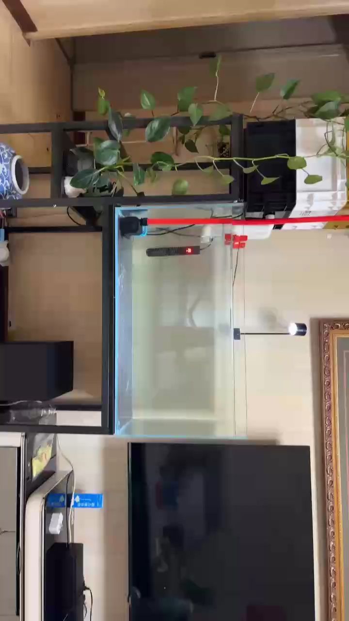 開缸，開缸