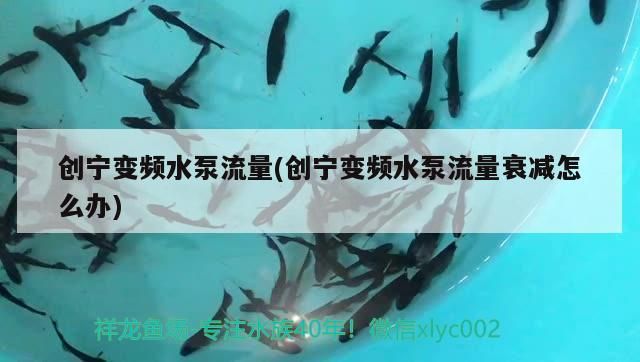 創寧變頻水泵流量(創寧變頻水泵流量衰減怎么辦)