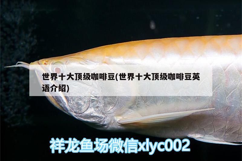 世界十大頂級咖啡豆(世界十大頂級咖啡豆英語介紹)