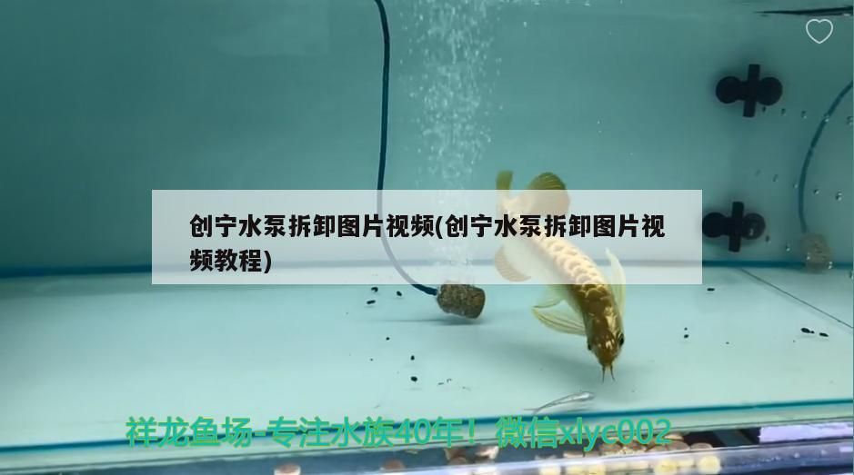 創寧水泵拆卸圖片視頻(創寧水泵拆卸圖片視頻教程)