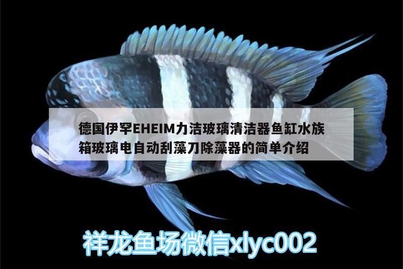德國伊罕EHEIM力潔玻璃清潔器魚缸水族箱玻璃電自動刮藻刀除藻器的簡單介紹