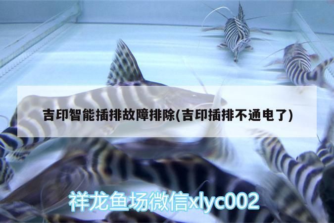 魚缸用增氧泵價格是多少:魚缸增氧機-xtrac增氧機-xtrac增氧機 吉印智能插排故障排除(吉印插排不通電了) 吉印水族 吉印智能插排故障排除(吉印插排不通電了) 吉印智能插排故障排除(吉印插排不通電了) 吉印水族