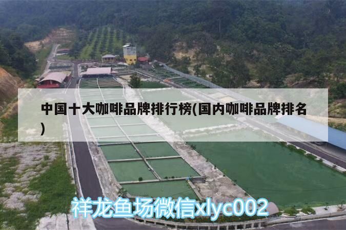 中國十大咖啡品牌排行榜(國內咖啡品牌排名) 中國十大咖啡品牌排行榜(國內咖啡品牌排名) 馬來西亞咖啡