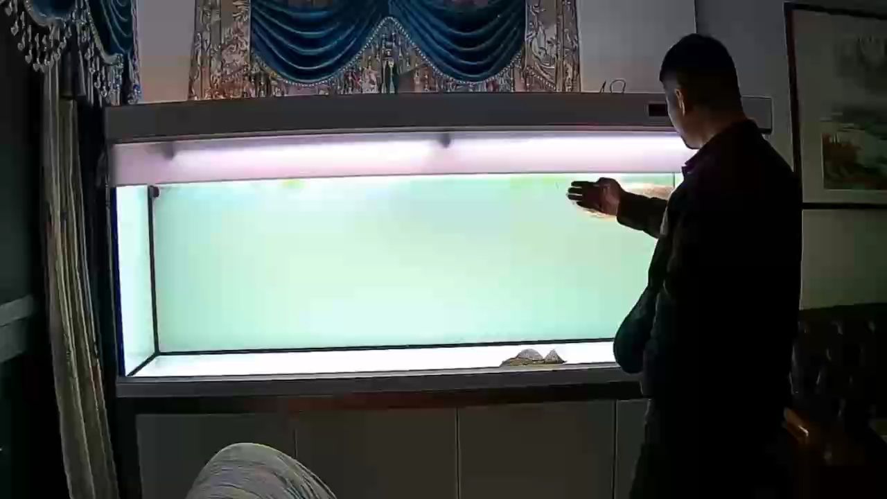 [baobao][deyi]