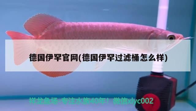 德國伊罕官網(德國伊罕過濾桶怎么樣) 德國伊罕官網(德國伊罕過濾桶怎么樣) 伊罕水族