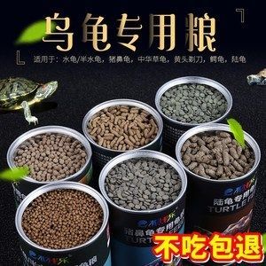 豬鼻龜價格2020：2020年豬鼻龜價格大概是多少，豬鼻龜價格大概是多少