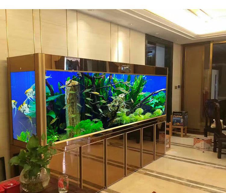 龍魚缸換水注意什么問題，龍魚換水后如何穩(wěn)定水質(zhì)，龍魚缸硝化細(xì)菌添加技巧