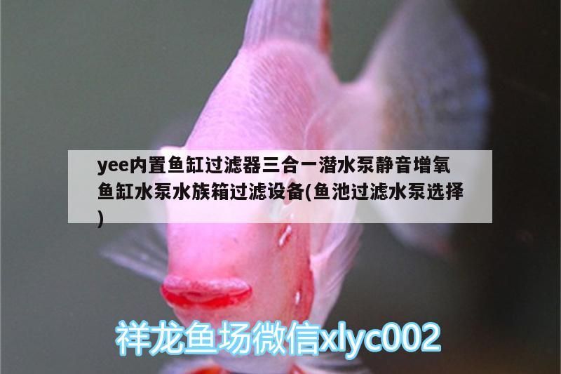 yee內(nèi)置魚(yú)缸過(guò)濾器三合一潛水泵靜音增氧魚(yú)缸水泵水族箱過(guò)濾設(shè)備(魚(yú)池過(guò)濾水泵選擇)