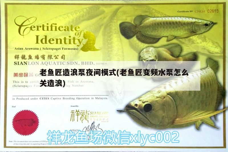 老魚匠造浪泵夜間模式(老魚匠變頻水泵怎么關造浪)