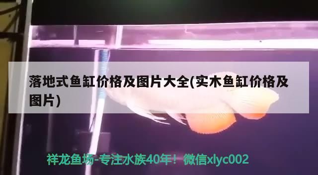 落地式魚缸價格及圖片大全(實木魚缸價格及圖片)