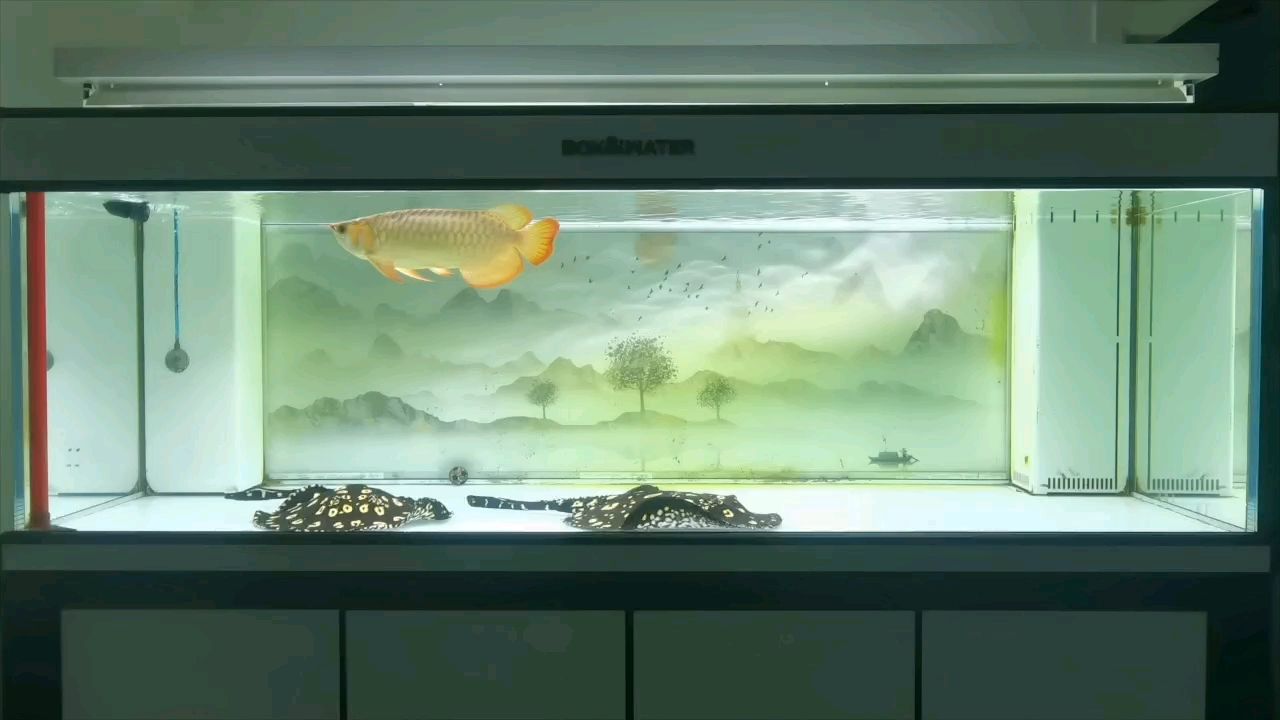 2025運(yùn)氣滿滿！