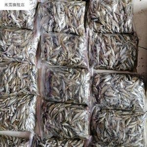 龍魚老頭魚，龍魚老頭魚是指那些錯過最佳生長時期的龍魚老頭魚