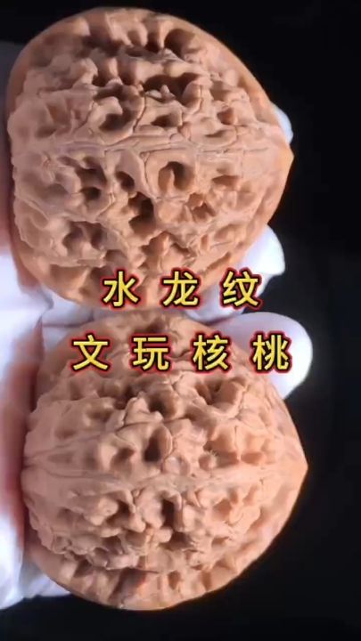 水龍紋核桃
