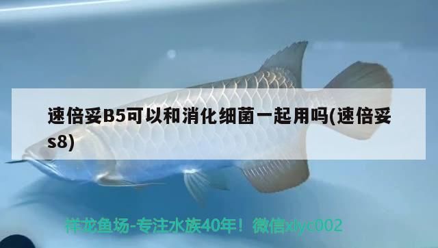 速倍妥B5可以和消化細菌一起用嗎(速倍妥s8) 速倍妥B5可以和消化細菌一起用嗎(速倍妥s8) 速倍妥 第2張